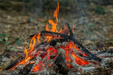 Dynamic campfire flames dancing over burning logs Foto stock