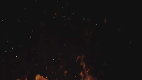 Dynamic campfire flames glowing with floating sparks against black background Stock Footage 337419143