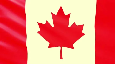 Dynamic Canadian Flag in 4K – Ideal for Multimedia Projects Stock-Footage 295670181