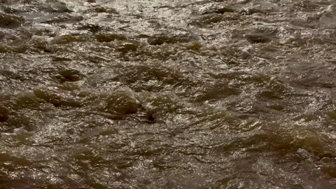 Dynamic capture of turbulent brown river water flowing with intense energy .. Stock Footage 339296405