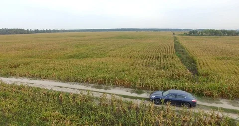 Dynamic car passage Stock Footage 91615293