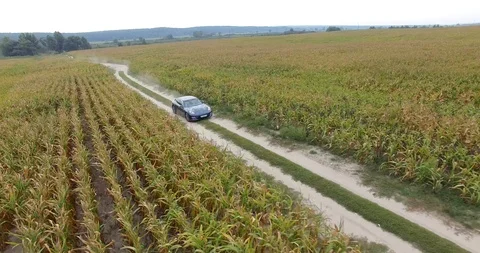 Dynamic car passage Stock Footage 91615304