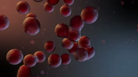Dynamic cells multiplying Stock Footage