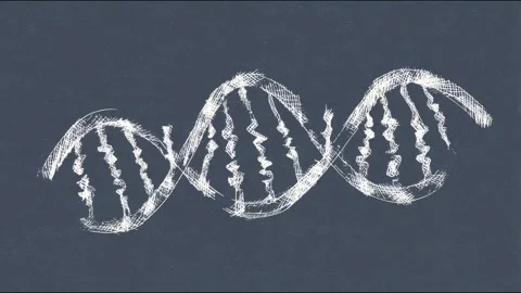Dynamic chalk animation of dna helix on dark chalkboard background Stock Footage 314964381