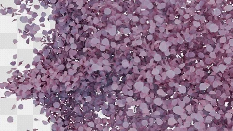 Dynamic Cherry Blossom Transition Alpha Wipe Stock Footage 314055064