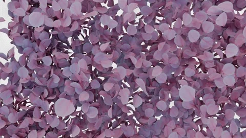 Dynamic Cherry Blossom Transition Alpha Wipe Stock Footage 314410643