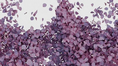 Dynamic Cherry Blossom Transition Alpha Wipe Stock Footage 315748803