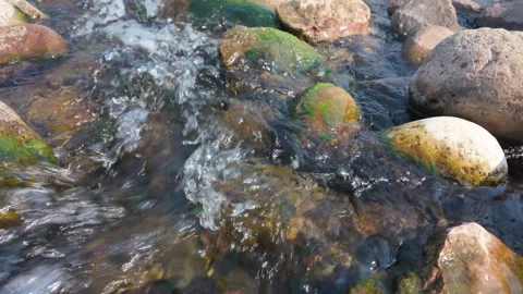 Dynamic close-up of a clear stream rushing over mossy rocks. Stock Footage 312476788