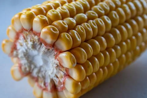 Dynamic Close-up of Corn on the Cob Kernels and Cut Cob Structure Stock Photos