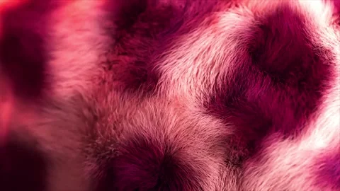 Dynamic close up of pink and white fur creating a soft and moving texture Stock Footage 327572572
