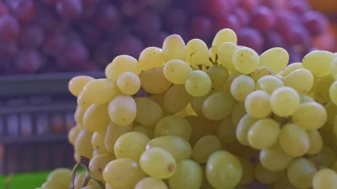 Dynamic close up of white and red grapes on a local farmers market with moving Stock Footage 108011771