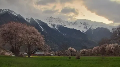 Dynamic Clouds over Nyingchi Snow Peaks and Blossom Valley 動画素材 332183034