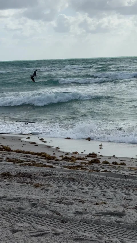 Dynamic coastal waves breaking on sandy beach under clouded sky Stock Footage 315524712