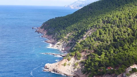 Dynamic coastline with trees and cliffs 스톡 동영상 100440822