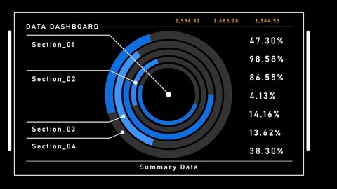 Dynamic colorful circle chart animation displaying business data and financial p Vidéo 334265787