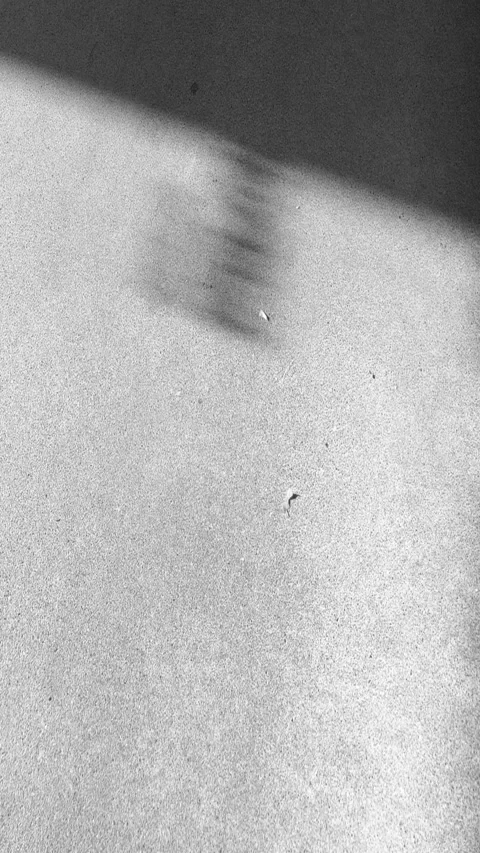 Dynamic dark moving shadow from the window sun beams blurred motion play of a 動画素材 318610521