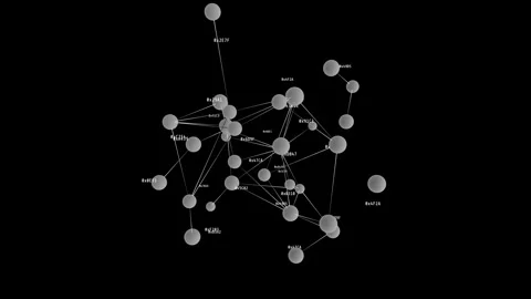 Dynamic Data Network Nodes Hexadecimal Sphere Animation 動画素材 344347263