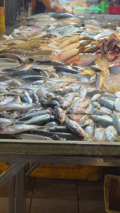 A Dynamic Display of Fresh Ocean Harvest and Aquatic Delicacies at a Bustli.. Video stock 337283605