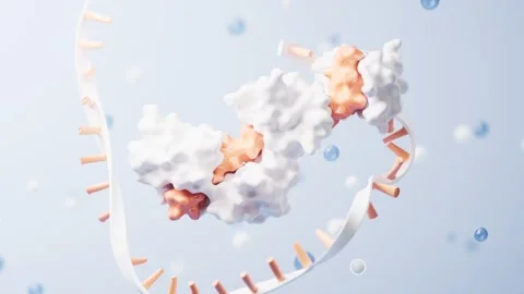 Dynamic dna molecular structure with protein binding and cellular processes.. Stock Footage 332228079