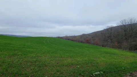 Dynamic drone flight over green field under cloudy winter sky, Bulgaria Video stock 323439862