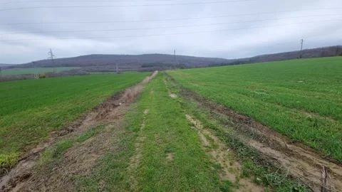 Dynamic drone flight over green field road and distant hills landscape Stock Footage 323439884