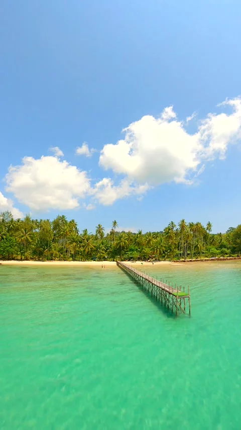 A dynamic drone flight over turquoise ocean, whitesand beach and palm trees. Stock Footage 239887340