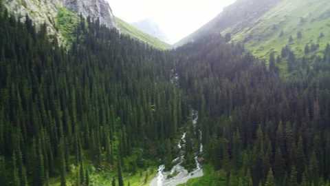 Dynamic Drone Pan From Forest To Mountain River. Kyrgyzstan, Karakol Stock Footage 332778711