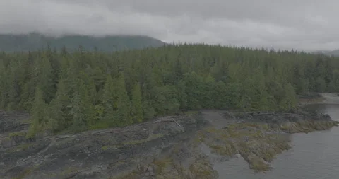 Dynamic Drone shot of Pine Tree Lake Ledge in Alaska Mountains in Distance Stock Footage 255319856
