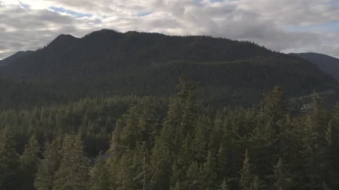 Dynamic Drone Sweeping over Pine Trees and Houses in front of Mountain Stock Footage 255318920