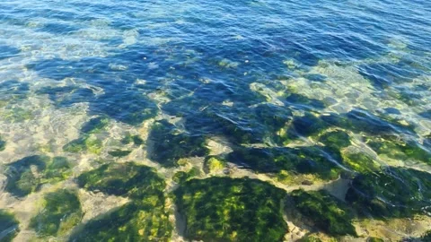 Dynamic drone view of clear blue water over rocky seabed Stock Footage 322161128