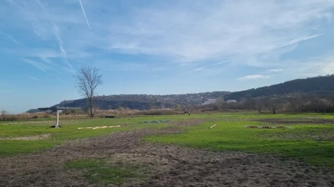 Dynamic drone view of open green field with distant hills Stock Footage 322019744