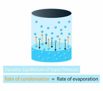 Dynamic Equilibrium of Vapor Pressure, Equilibrium between liquid phase Stock Illustration