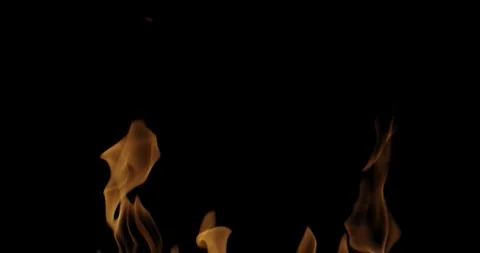 Dynamic Fire Flames on Ground Professional Cinematic Stock Video Stock Footage 340079856