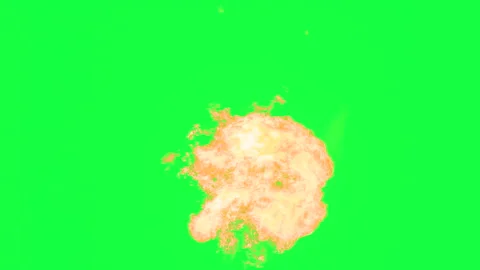 Dynamic Fire Motion on Keyable Background HD Pro Stock Footage 325023394