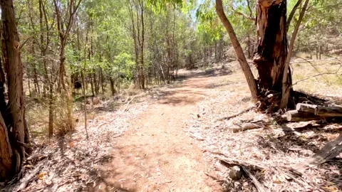 Dynamic first-person perspective video walking along a dry, dusty forest tr.. Stockbeeldmateriaal 333820294