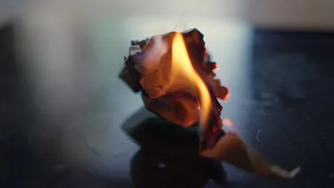 Dynamic Flames Effectively Igniting Crumpled Paper for Stunning Stock Footage Stock Footage 311281394