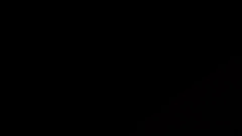 Dynamic Flat Flare Stock Footage 80053824