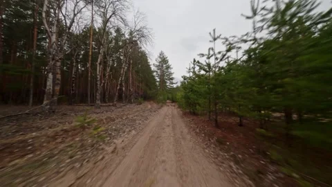 Dynamic flight along a forest road. Forest landscape. Fast flight along a forest Stock Footage 306236182