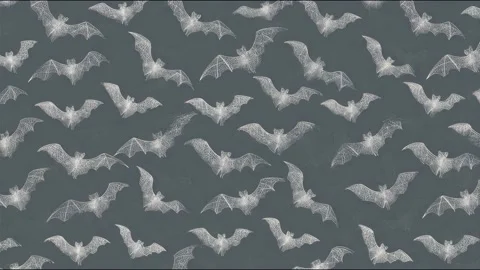 Dynamic flight of bats in twilight sky silhouette animation Stock Footage 314459213