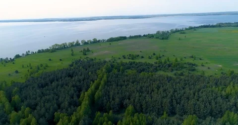 Dynamic flight over green forest Stock Footage 99554386