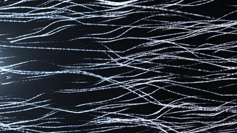 Dynamic flow of organic fiber patterns on dark background Stock Footage 320555648