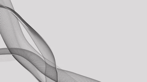 Dynamic Flowing Lines Animation on White, Modern Abstract Background Видео 319815270