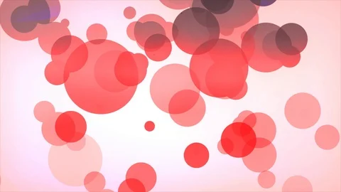 Dynamic flowing liquid bubble shapes motion graphic elements. circles fluid g Stock Footage 121347465