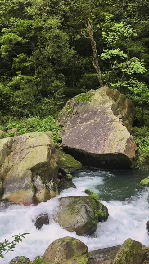 Dynamic flowing river water crashing over mossy rocks in lush green forest, Vídeos de archivo 333605054
