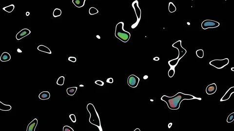 Dynamic Fluid Blob Shapes with Holographic Colors and Outlines Stock Footage 345024069