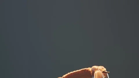 Dynamic flying baseball catch in the spotlight. Epic foggy slow motion shot 4KHD Stock Footage 110047679