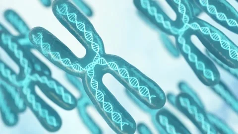 Dynamic footage of glowing x chromosomes with visible dna helices represent.. Stock Footage 327248138