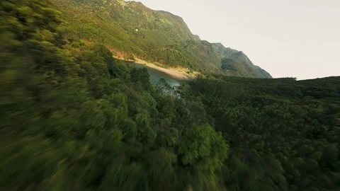 Dynamic FPV Drone Flight Over Dense Forest Canopy Towards Serene Mountain Lake Stock Footage 319368154