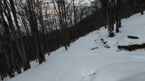 Dynamic FPV Drone Flight Over Snowy Mountain Slope and Forest 4K Stock Footage 328305450