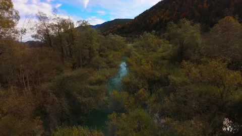 Dynamic FPV flight along a swamp landscape in a mountain valley in autumn Stock Footage 296582181